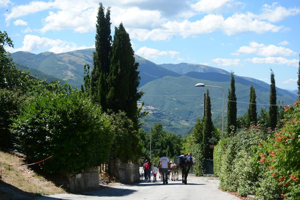 Agriturismo Campagna In Compagnia Vallo di Nera Exterior foto